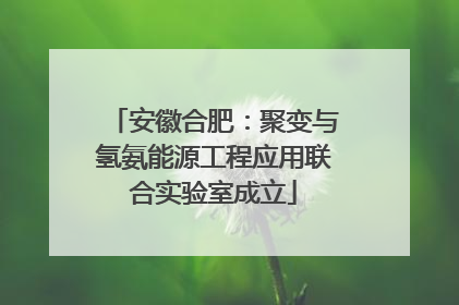 安徽合肥：聚变与氢氨能源工程应用联合实验室成立