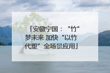 安徽宁国：“竹”梦未来 加快“以竹代塑”全场景应用