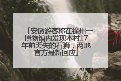 安徽游客称在徐州一博物馆内发现本村17年前丢失的石狮，两地官方最新回应