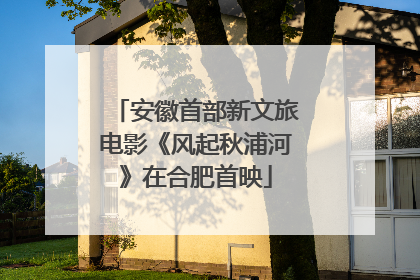 安徽首部新文旅电影《风起秋浦河》在合肥首映