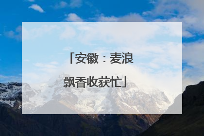 安徽：麦浪飘香收获忙