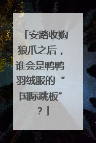 安踏收购狼爪之后，谁会是鸭鸭羽绒服的“国际跳板”？