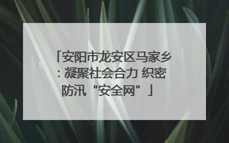 安阳市龙安区马家乡：凝聚社会合力 织密防汛“安全网”