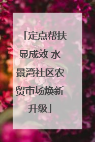 定点帮扶显成效 水景湾社区农贸市场焕新升级