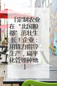 定制农业在“北国粮都”茁壮生长！企业：用算力指导生产，扁平化管理种地