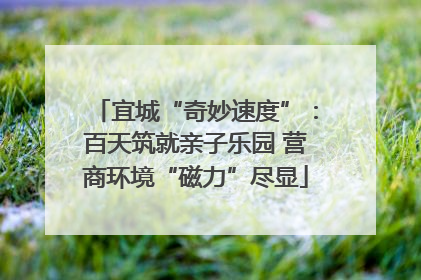 宜城“奇妙速度”：百天筑就亲子乐园 营商环境“磁力”尽显