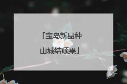 宝岛新品种 山城结硕果