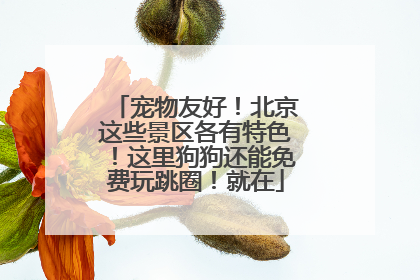 宠物友好！北京这些景区各有特色！这里狗狗还能免费玩跳圈！就在