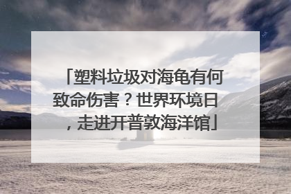 塑料垃圾对海龟有何致命伤害？世界环境日，走进开普敦海洋馆