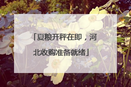 夏粮开秤在即，河北收购准备就绪