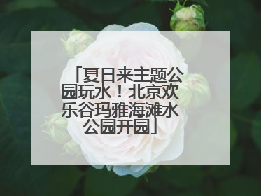 夏日来主题公园玩水！北京欢乐谷玛雅海滩水公园开园