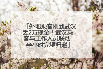 外地乘客刚到武汉丢2万现金！武汉乘客与工作人员联动 半小时完璧归赵