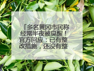 多名黄冈市民称经常半夜被臭醒！官方回应：已有整改措施，还没有整改情况