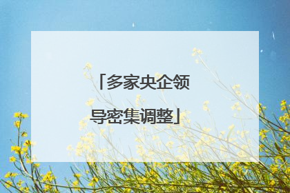 多家央企领导密集调整