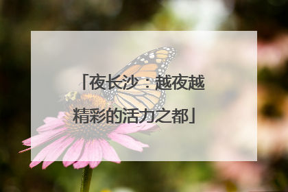 夜长沙：越夜越精彩的活力之都