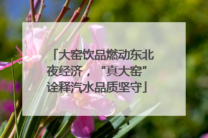 大窑饮品燃动东北夜经济，“真大窑”诠释汽水品质坚守