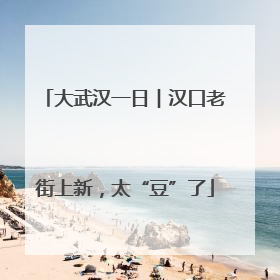 大武汉一日︱汉口老街上新，太“豆”了