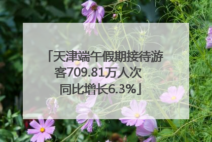 天津端午假期接待游客709.81万人次 同比增长6.3%