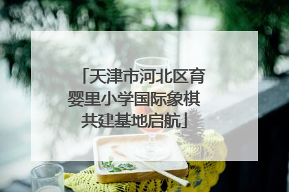 天津市河北区育婴里小学国际象棋共建基地启航