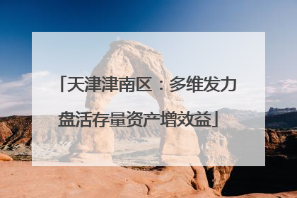 天津津南区：多维发力盘活存量资产增效益