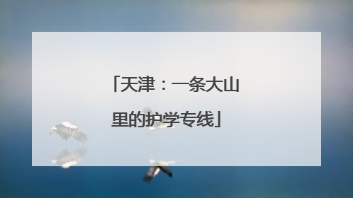天津：一条大山里的护学专线