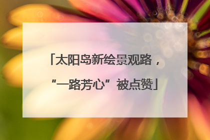 太阳岛新绘景观路，“一路芳心”被点赞