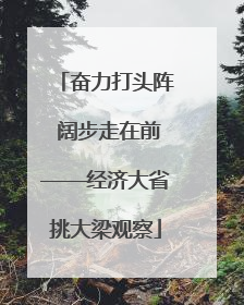 奋力打头阵 阔步走在前——经济大省挑大梁观察
