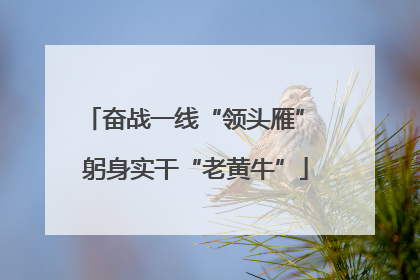 奋战一线“领头雁” 躬身实干“老黄牛”