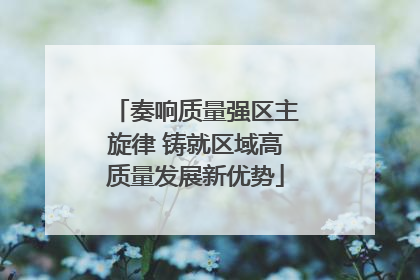 奏响质量强区主旋律 铸就区域高质量发展新优势