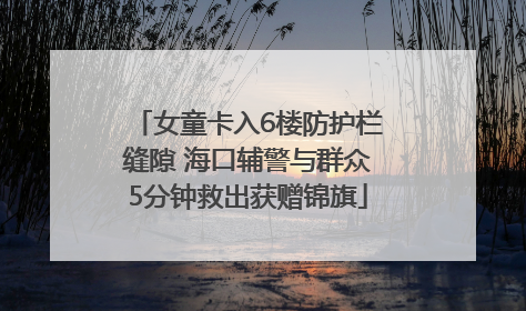 女童卡入6楼防护栏缝隙 海口辅警与群众5分钟救出获赠锦旗