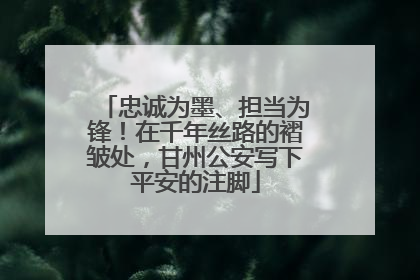 忠诚为墨、担当为锋！在千年丝路的褶皱处，甘州公安写下平安的注脚