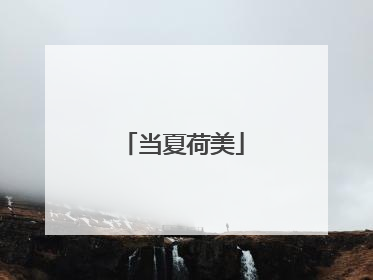 当夏荷美