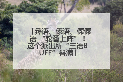 彝语、傣语、傈僳语 “轮番上阵”！这个派出所“三语BUFF”叠满
