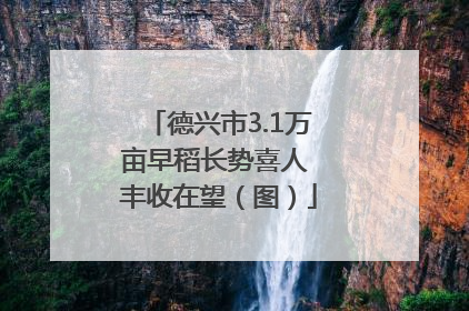德兴市3.1万亩早稻长势喜人 丰收在望（图）