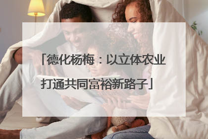 德化杨梅：以立体农业打通共同富裕新路子