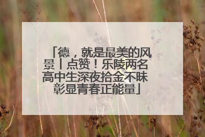 德，就是最美的风景丨点赞！乐陵两名高中生深夜拾金不昧 彰显青春正能量