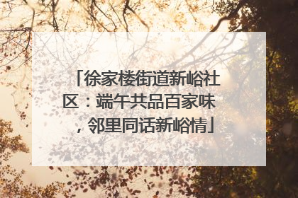 徐家楼街道新峪社区：端午共品百家味，邻里同话新峪情