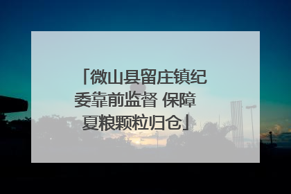 微山县留庄镇纪委靠前监督 保障夏粮颗粒归仓