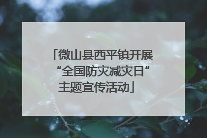微山县西平镇开展“全国防灾减灾日”主题宣传活动