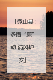 微山县：多措“廉”动 清风护安