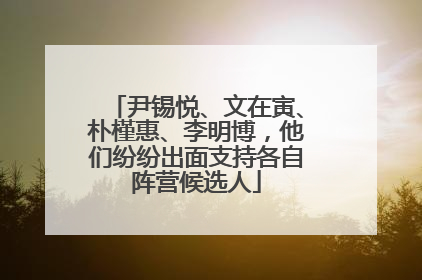 尹锡悦、文在寅、朴槿惠、李明博，他们纷纷出面支持各自阵营候选人