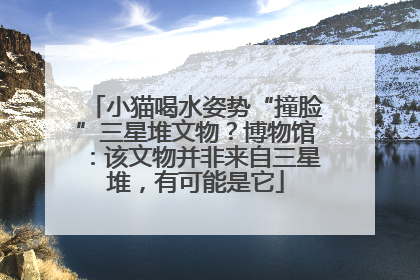 小猫喝水姿势“撞脸”三星堆文物？博物馆：该文物并非来自三星堆，有可能是它