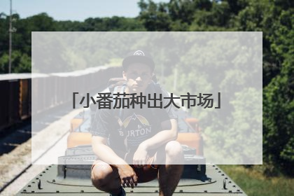 小番茄种出大市场