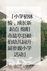 小学初体验，成长新起点 绵阳市盐亭县岐伯幼儿园开展参观小学活动