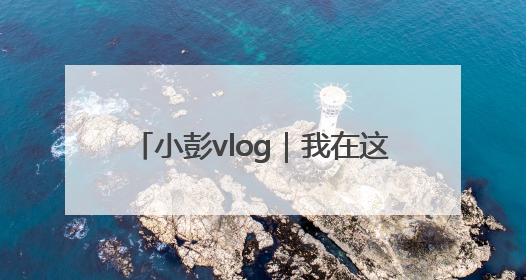 小彭vlog｜我在这场跨界的湾区论坛上，出了一道高考题……