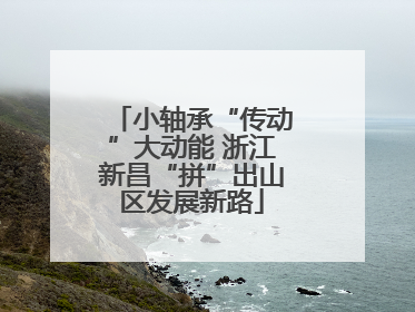 小轴承“传动”大动能 浙江新昌“拼”出山区发展新路