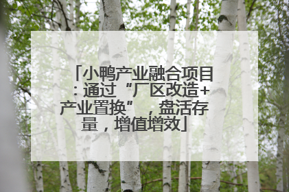 小鸭产业融合项目：通过“厂区改造+产业置换”，盘活存量，增值增效