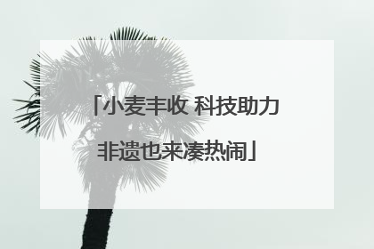 小麦丰收 科技助力 非遗也来凑热闹