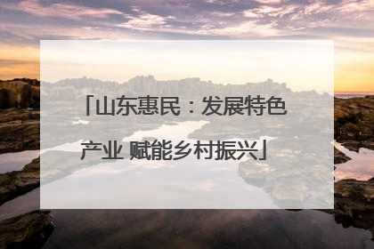 山东惠民：发展特色产业 赋能乡村振兴