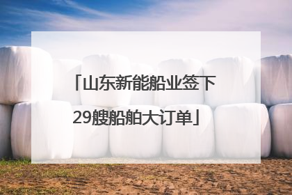 山东新能船业签下29艘船舶大订单